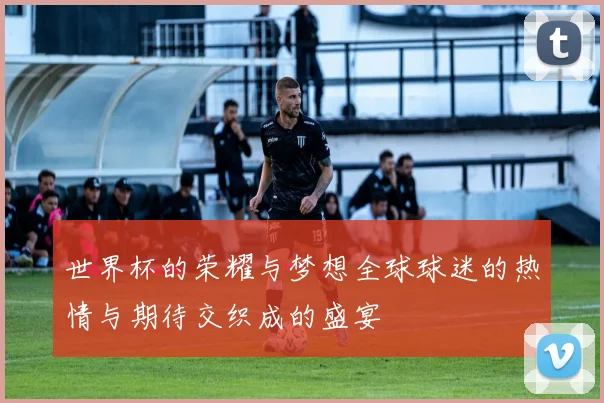 世界杯的荣耀与梦想全球球迷的热情与期待交织成的盛宴