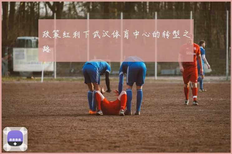 政策红利下武汉体育中心的转型之路